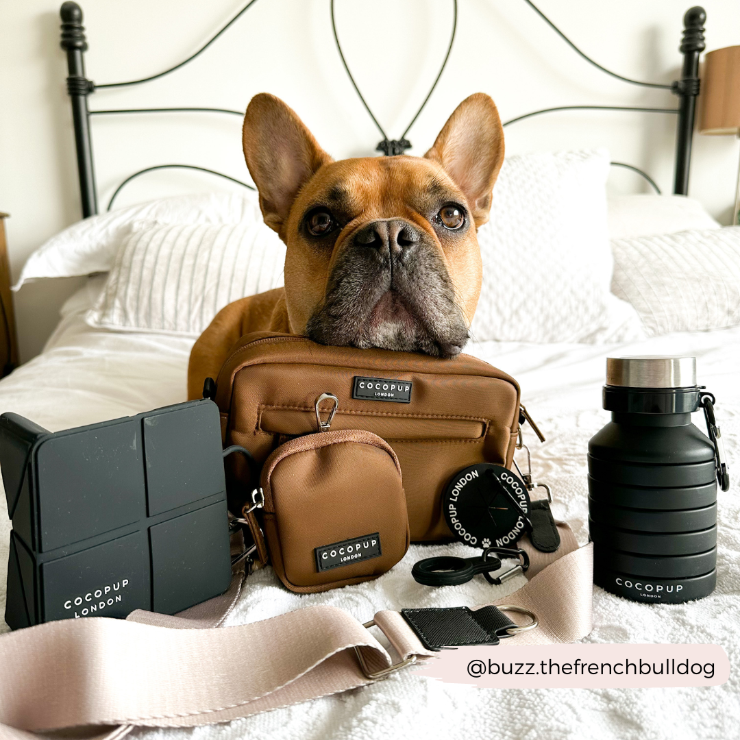 black foldable dog bowl for dog walking bag