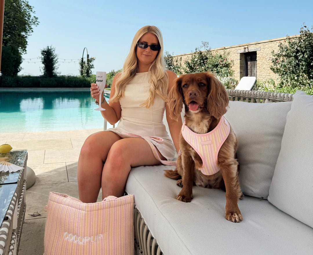 How to Keep Your Dog Cool in the Heat: Summer Safety Tips Every Dog Owner Should Know