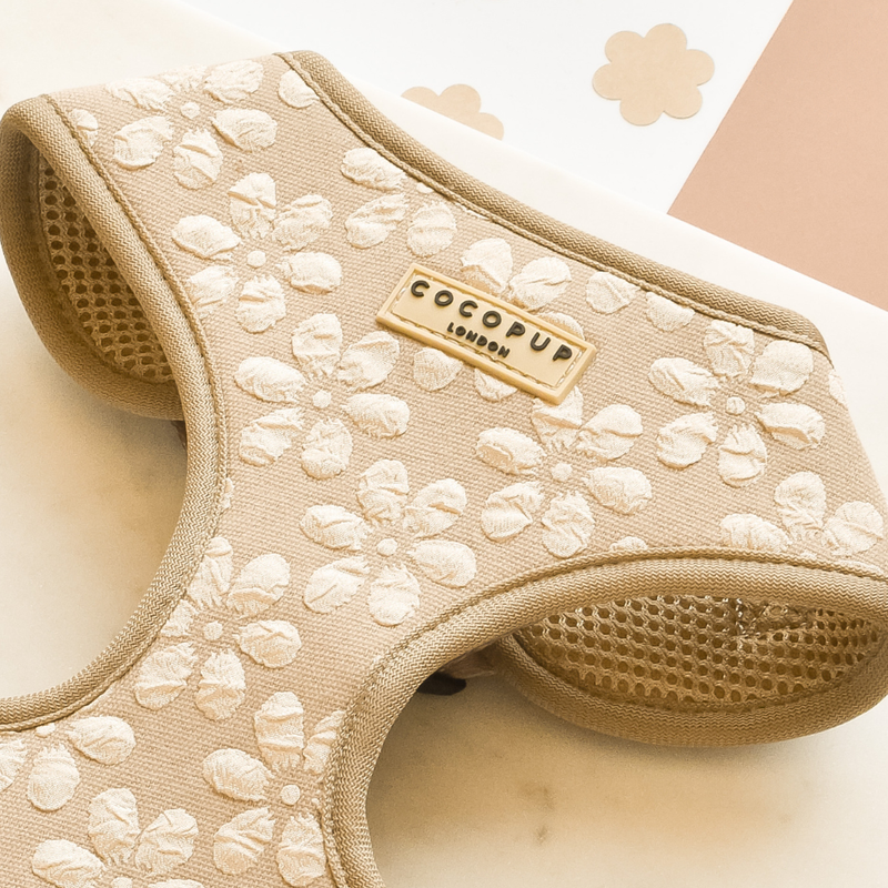 Mocha Flower Dog Accessories