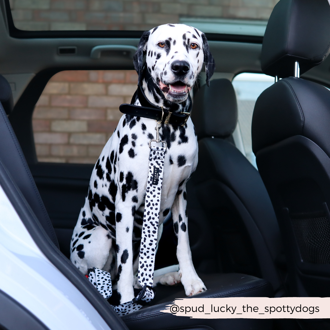 Seat Belt Restraint - Monochrome Spots