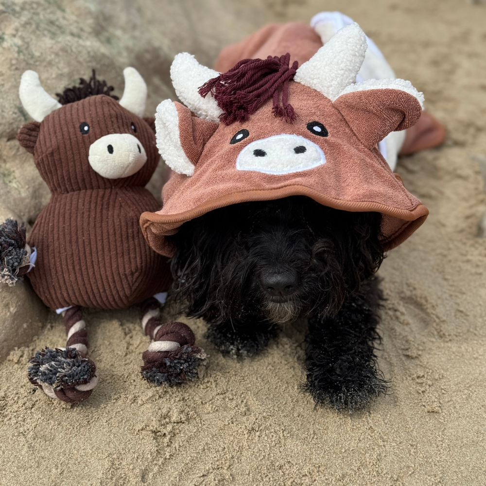 PERSONALISED Harold the Highland Cow Drying Robe