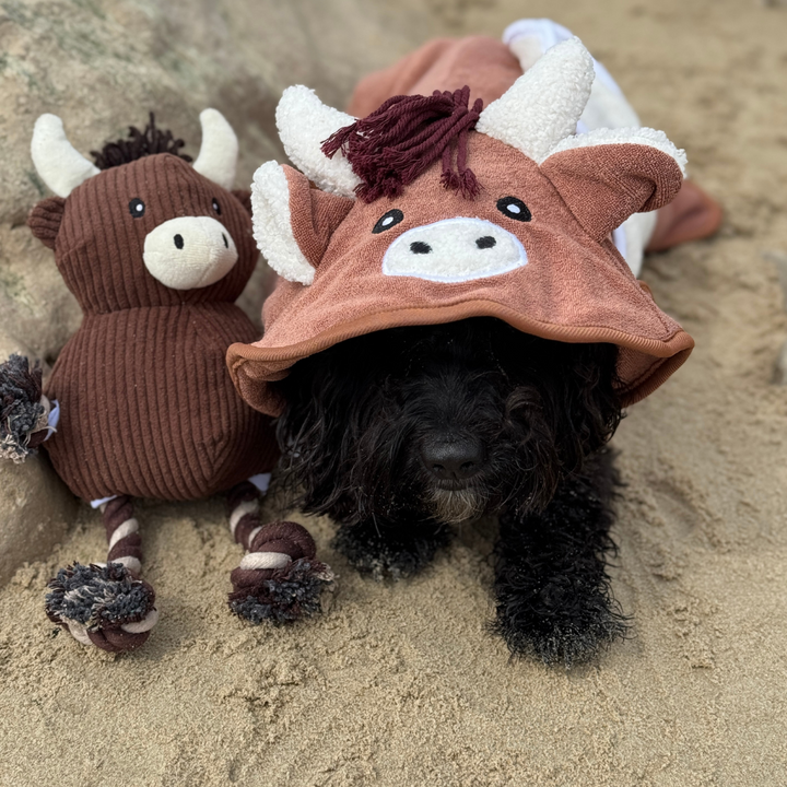 PERSONALISED Harold the Highland Cow Drying Robe