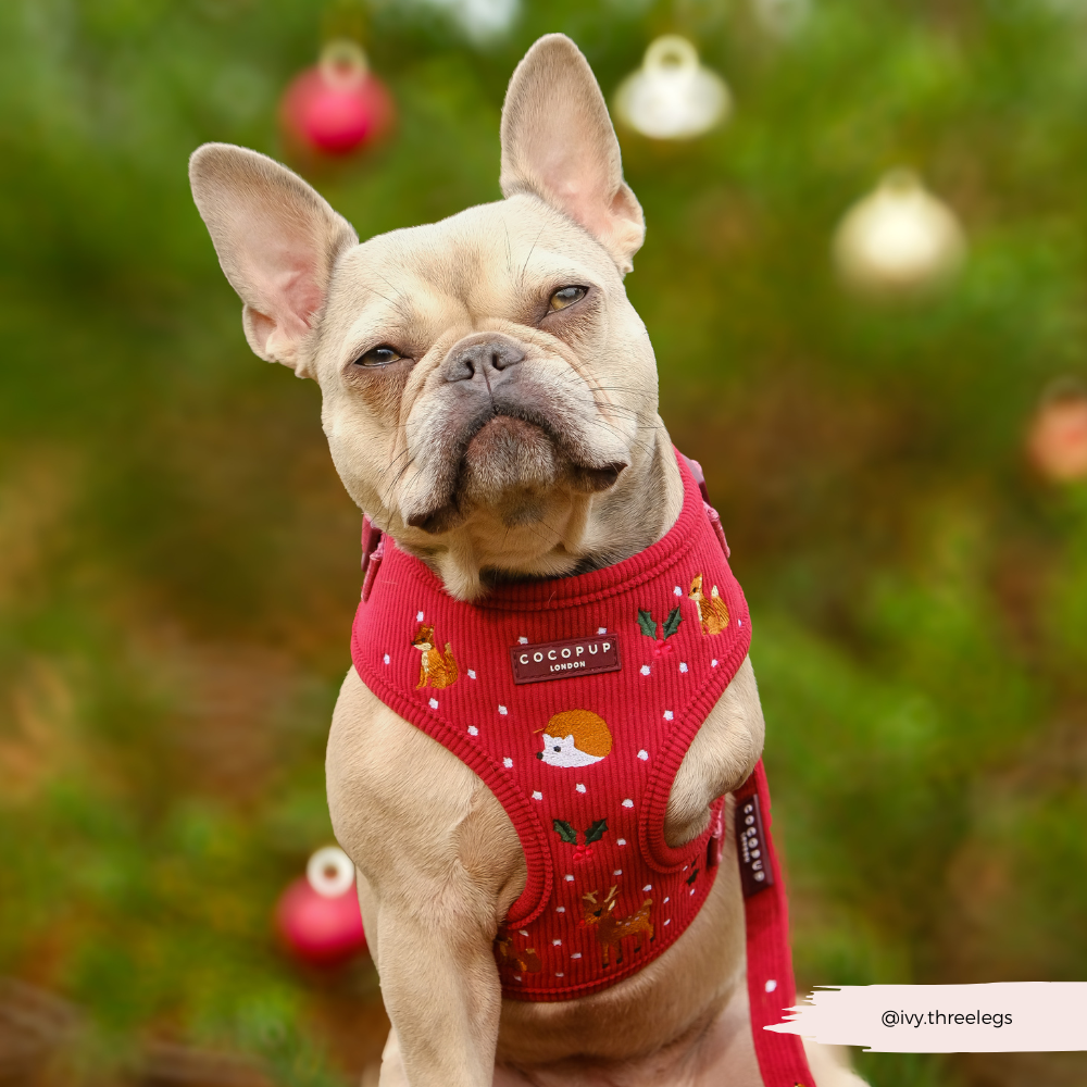 Holly Jolly Trails Adjustable Neck HARNESS