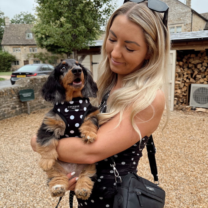 Satin Polka Dot Adjustable Neck HARNESS