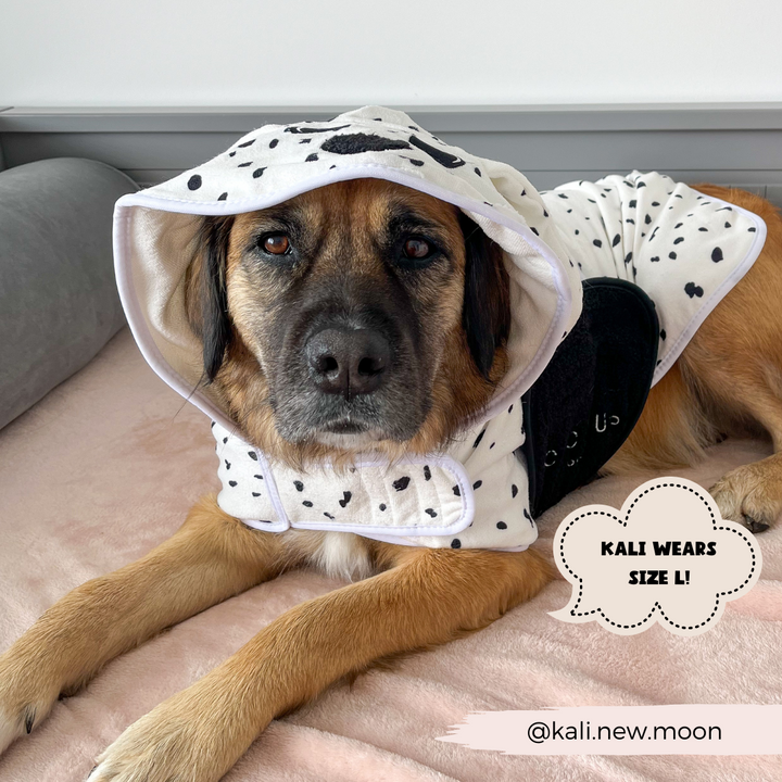 A dog with brown fur is lying on a pink surface, wearing a white and black polka-dotted hooded outfit. The outfit, called the Premium Microfibre Dalmatian Drying Robe from Cocopup London, has a text bubble stating "Kali wears size L!" and includes the handle "@kali.new.moon" visible in the bottom-right corner.