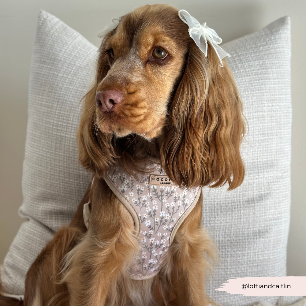 Nude Flowers Adjustable Neck HARNESS