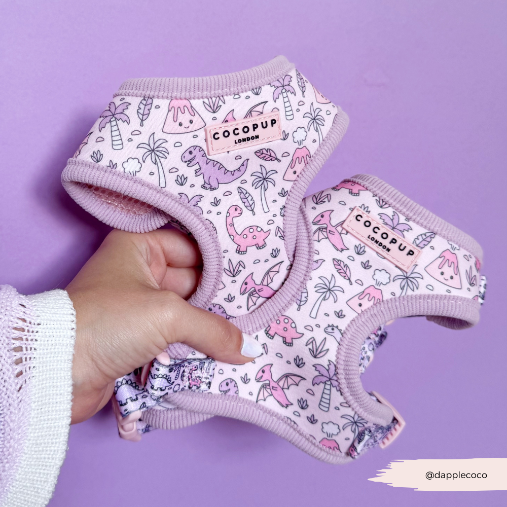 Princess Dino Adjustable Neck HARNESS