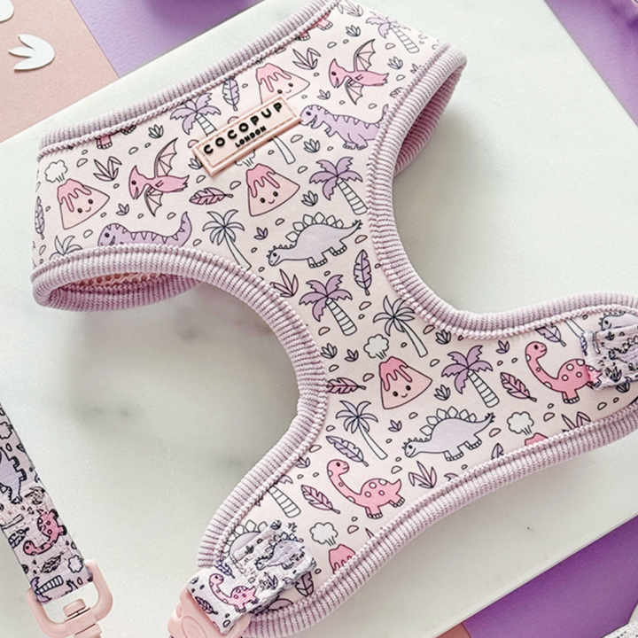Princess Dino Adjustable Neck HARNESS