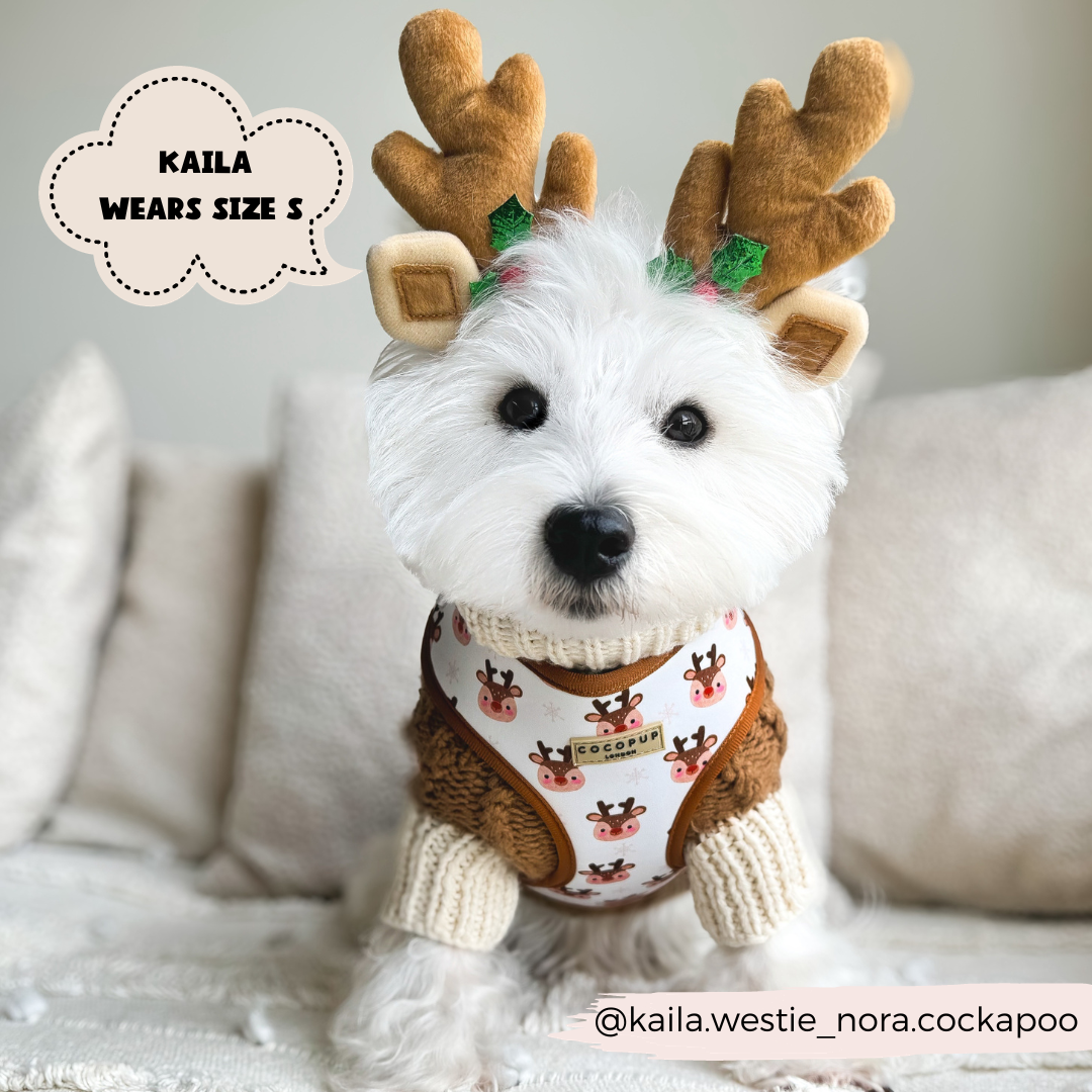 Ralphie Reindeer Adjustable Neck Harness, Lead & Collar Bundle