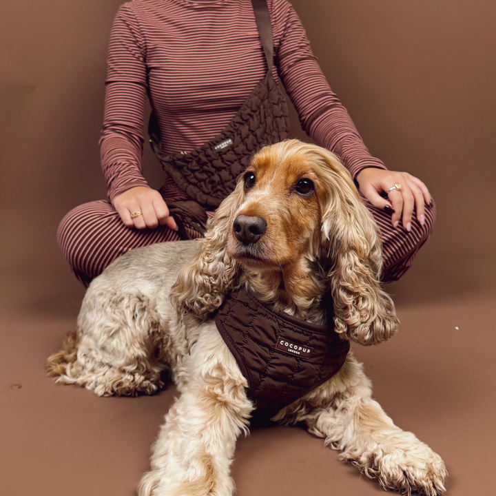Espresso Quilted Adjustable Neck HARNESS