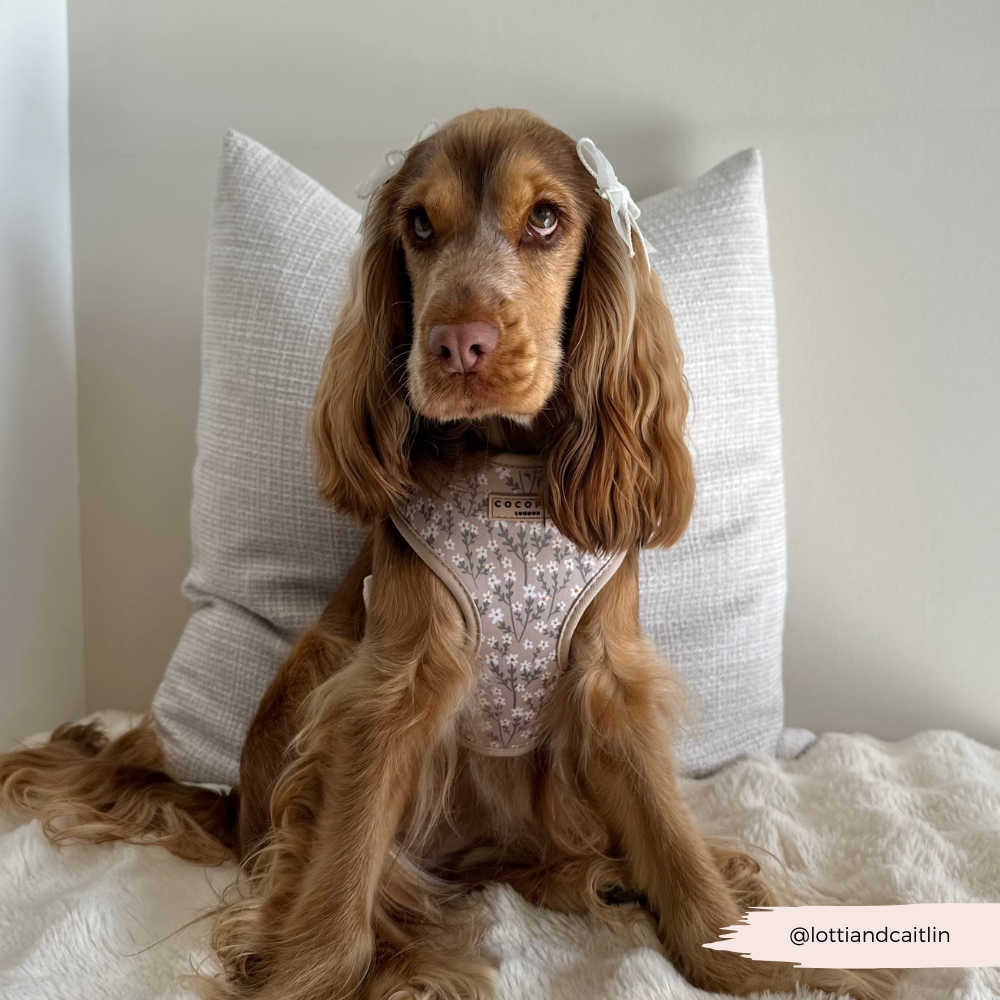 Nude Flowers Adjustable Neck HARNESS