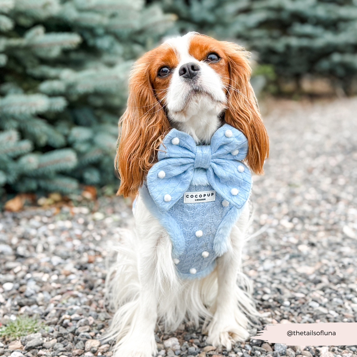 Snowpaws Sailor Bow Tie