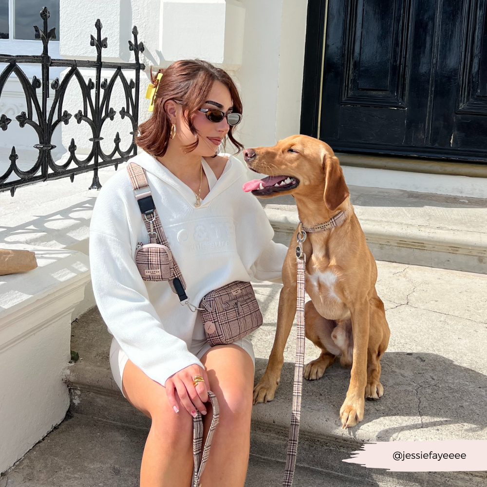 Treat Pouch - Pup Plaid