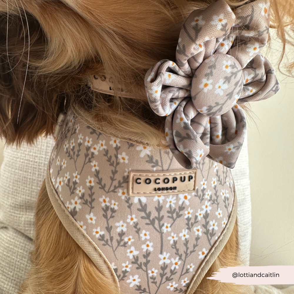 Nude Flowers Adjustable Neck HARNESS