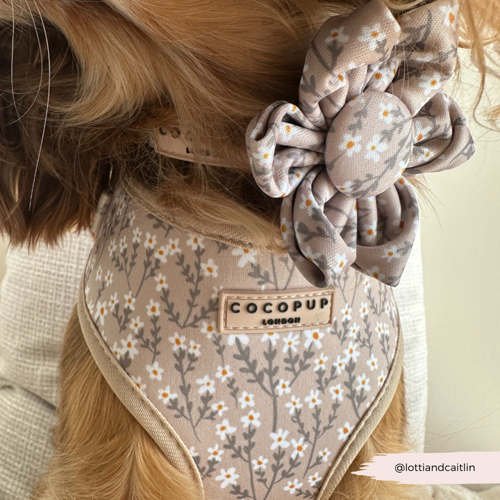 Nude Flowers Adjustable Neck HARNESS