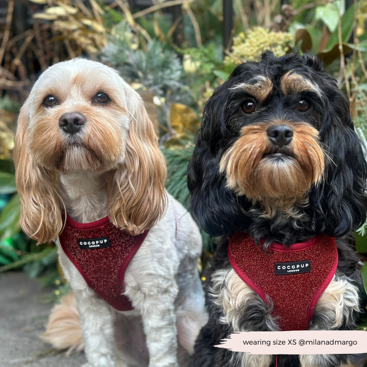 Limited Edition Burgundy Sparkle Pup Adjustable Neck Harness