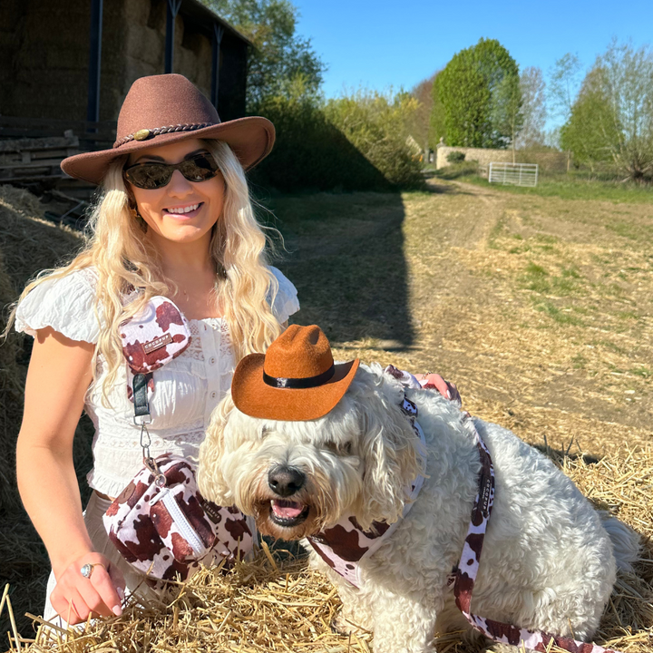 Rodeo Pup Dog Hat