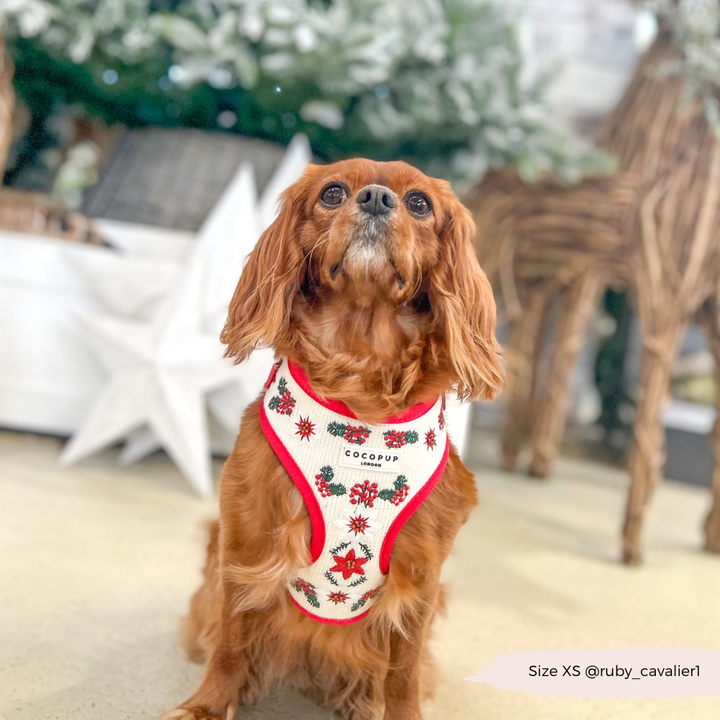 LUXE Embroidered Frosty Flower Harness