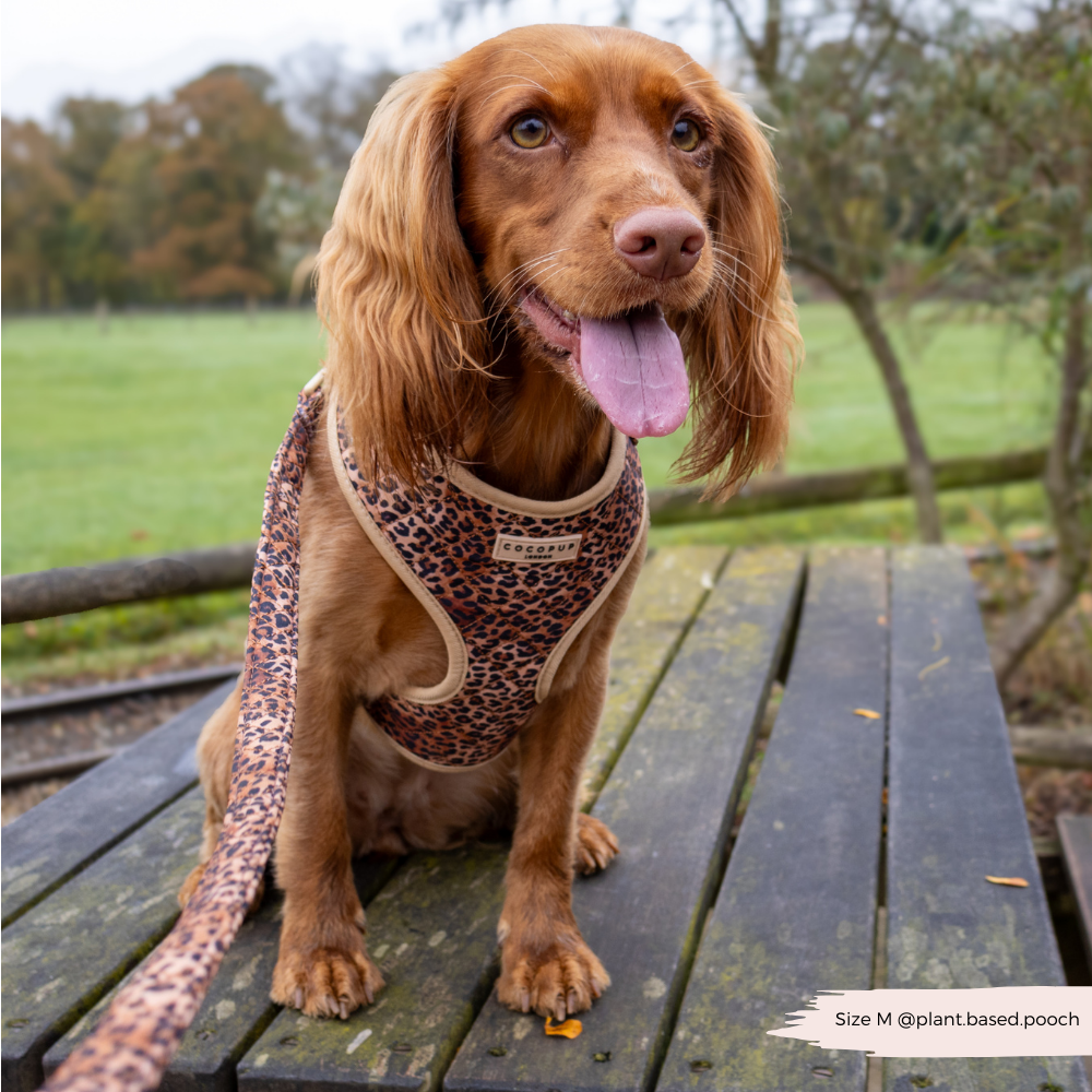 Quilted Leopard Pup Adjustable Neck Harness