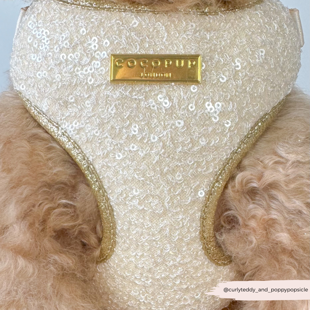 Limited Edition Sparkle Season Gold Adjustable Neck HARNESS