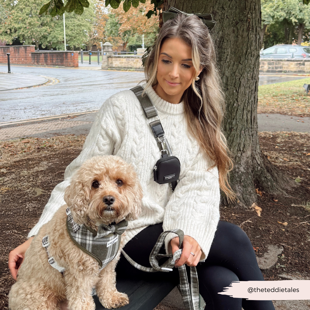 Bag Strap - Olive Check