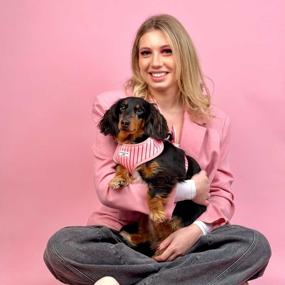 Candy Stripe Adjustable Neck HARNESS