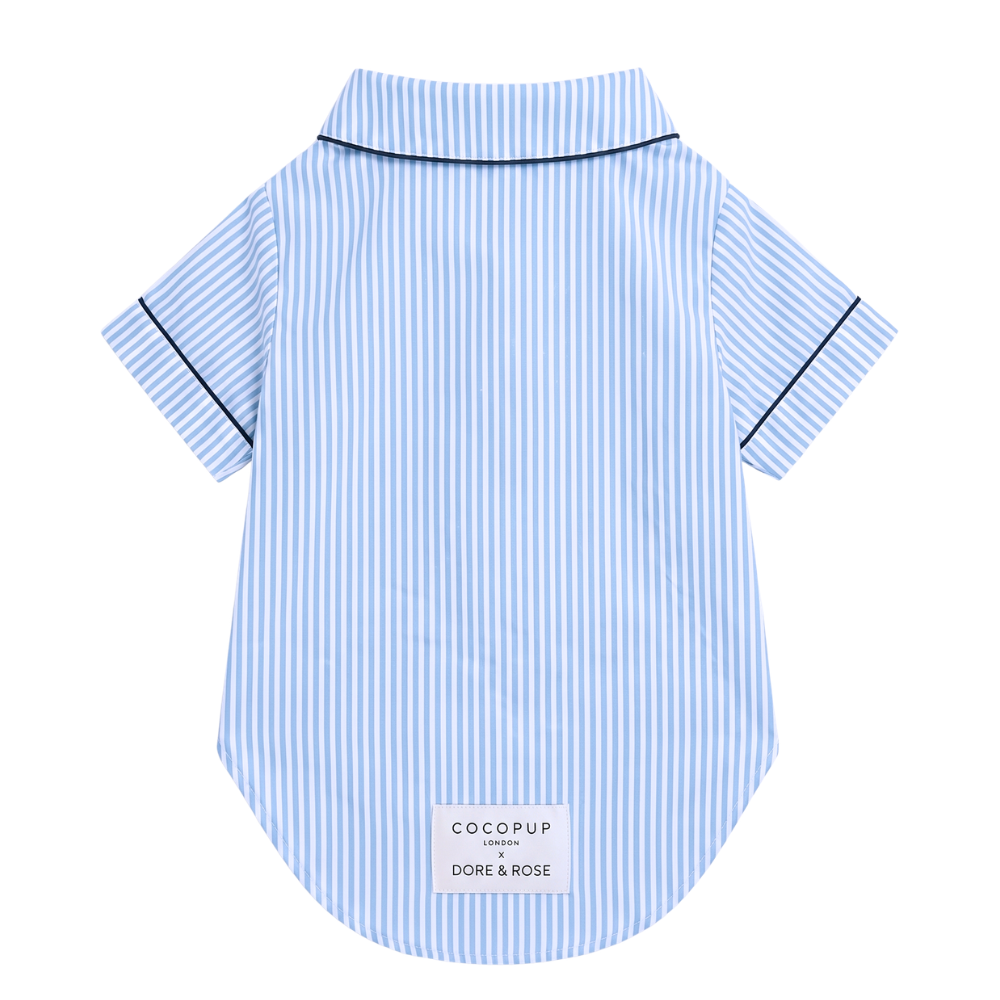 A light blue and white vertically striped short-sleeve dog shirt with thin blue piping along the collar and sleeve cuffs, featuring a white brand label at the bottom.