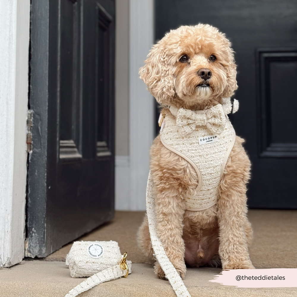Vanilla Textured Tweed Adjustable Neck HARNESS