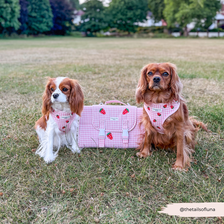 Travel Mat - Strawberry Picnic Pup