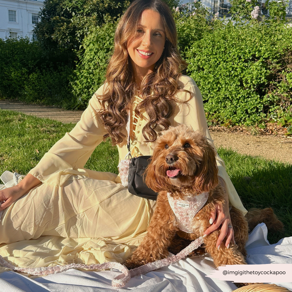 Dog Walking Black Bag Bundle - Pearly Pup