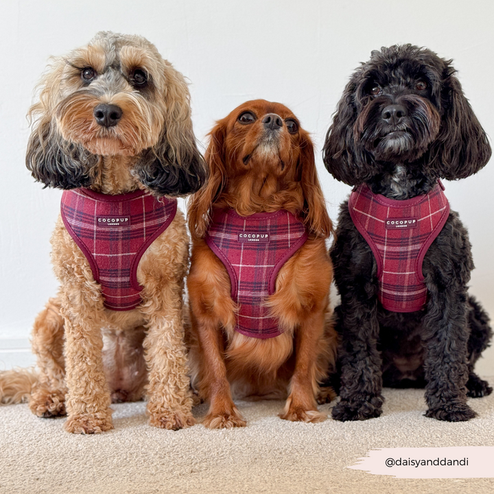 Mulberry Plaid Adjustable Neck HARNESS