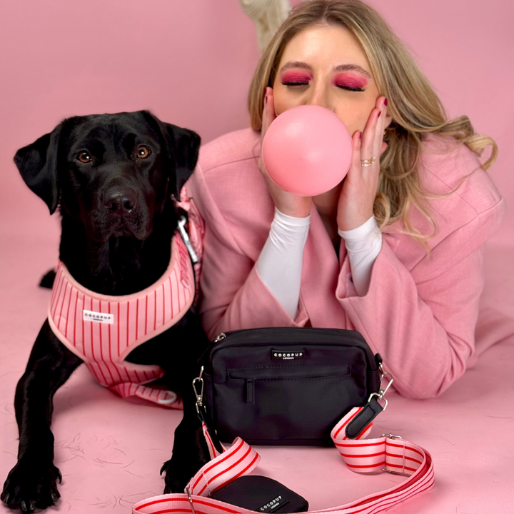 Dog Walking Bag Bundle - Candy Stripe