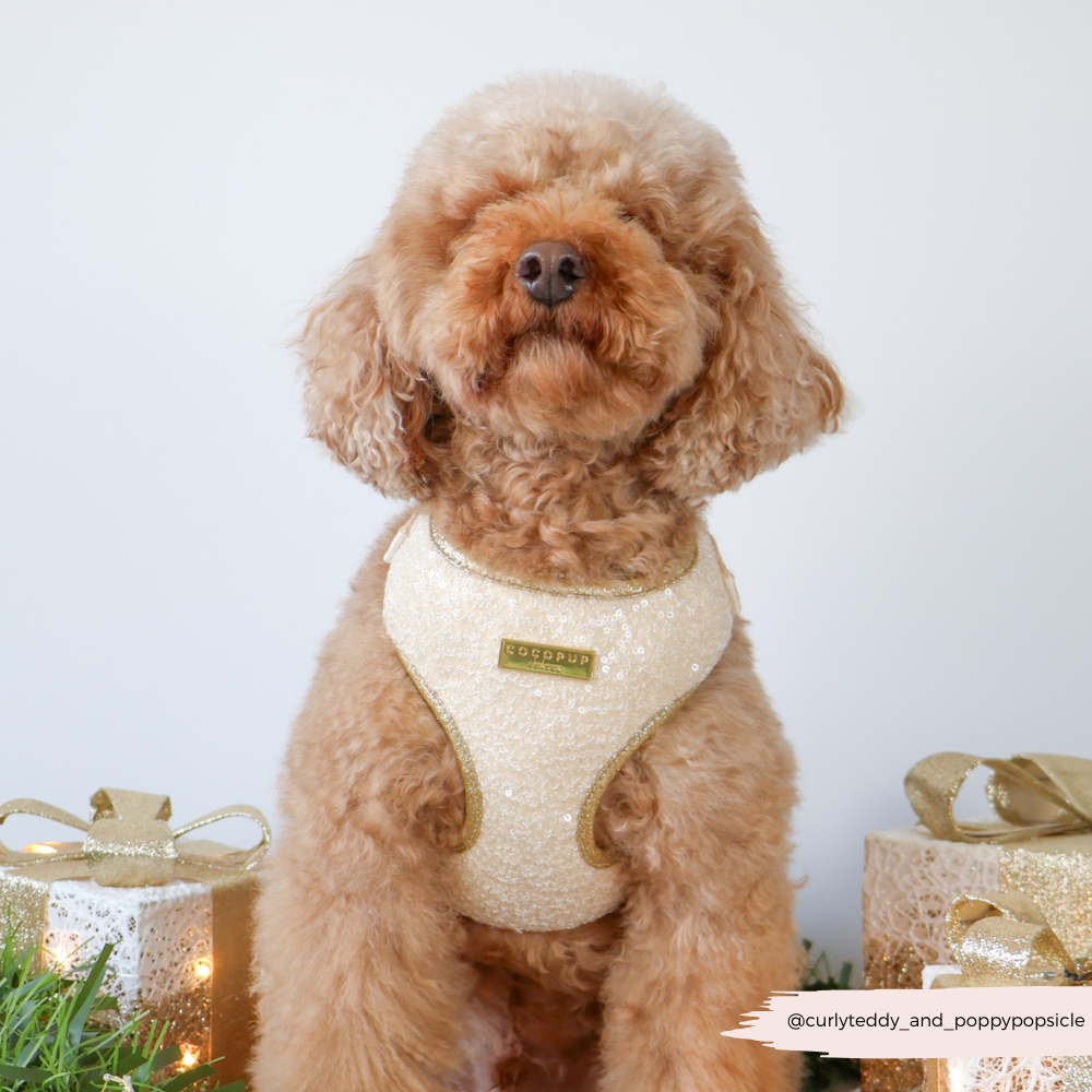 Limited Edition Sparkle Season Gold Adjustable Neck HARNESS