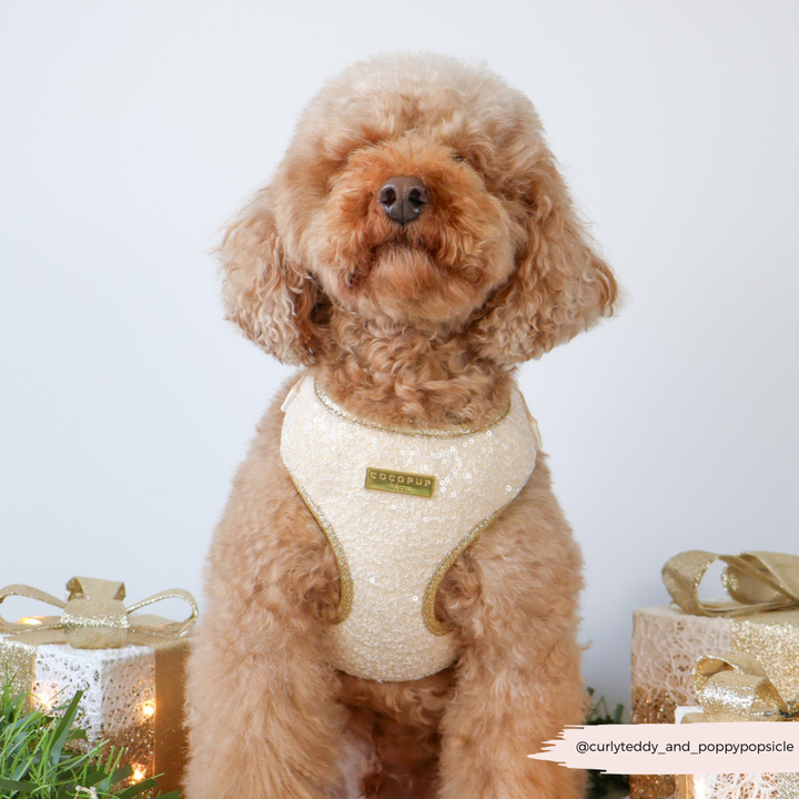 Limited Edition Sparkle Season Gold Adjustable Neck HARNESS