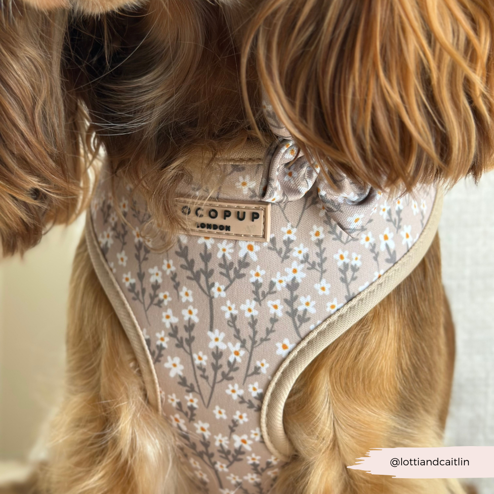 Nude Flowers Adjustable Neck HARNESS