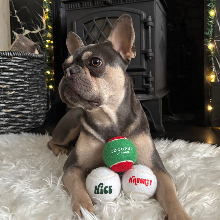 Christmas Tennis Ball Bundle - Red & Green, Naughty and Nice