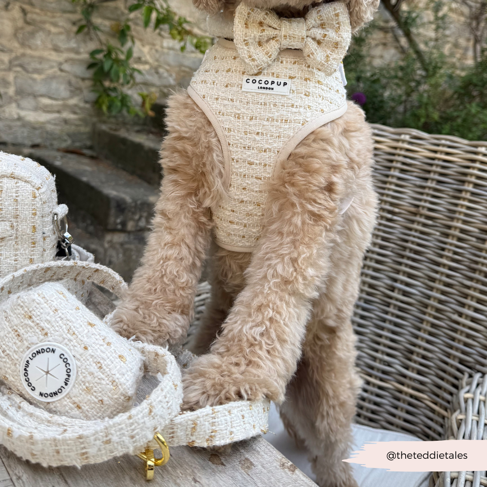Vanilla Textured Tweed Adjustable Neck HARNESS