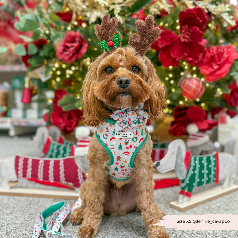 Christmas Pawty Collar Flower