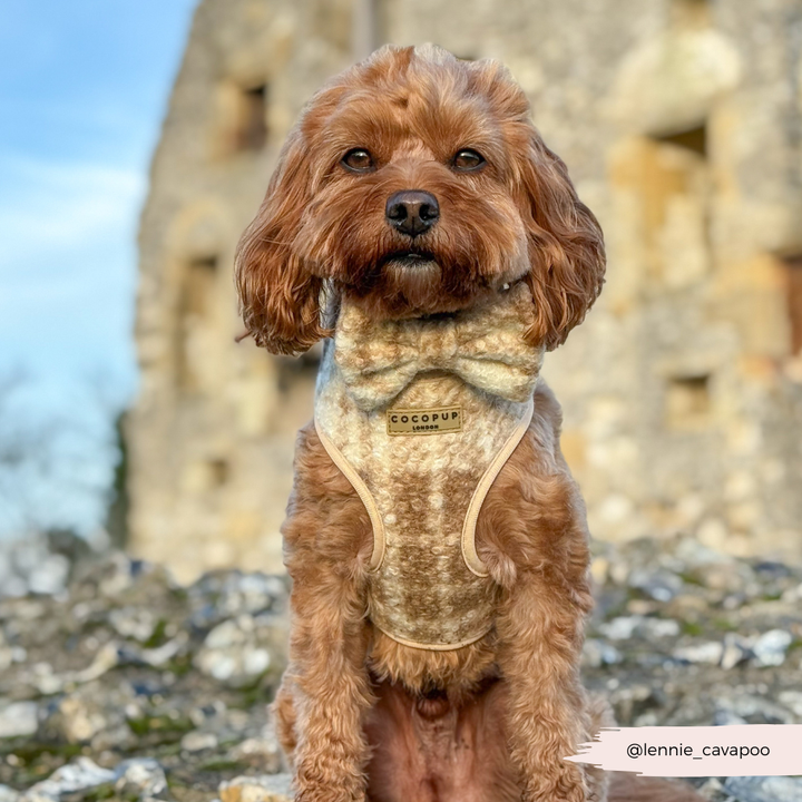 Highland Fleece Adjustable Neck HARNESS - Oatmeal