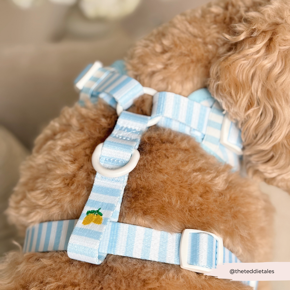 Living La Vida Lemon Adjustable Neck HARNESS