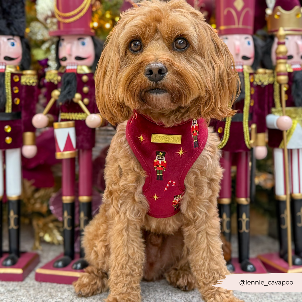 The Muttcracker Adjustable Neck HARNESS