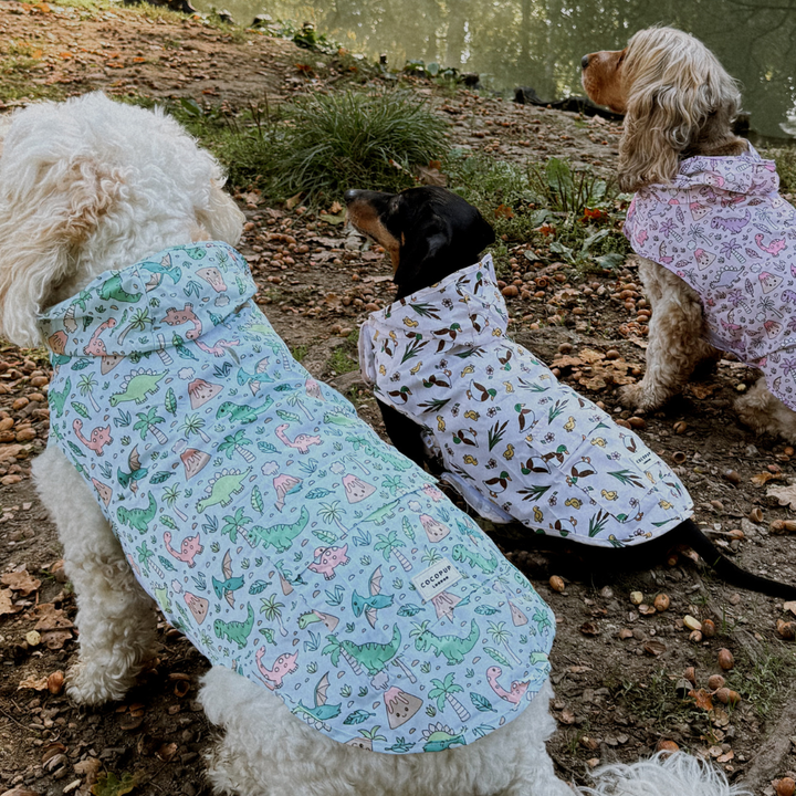 Dog Raincoat - Dinopaws