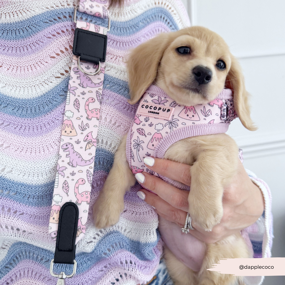 Dog Walking Bag Bundle - Princess Dino