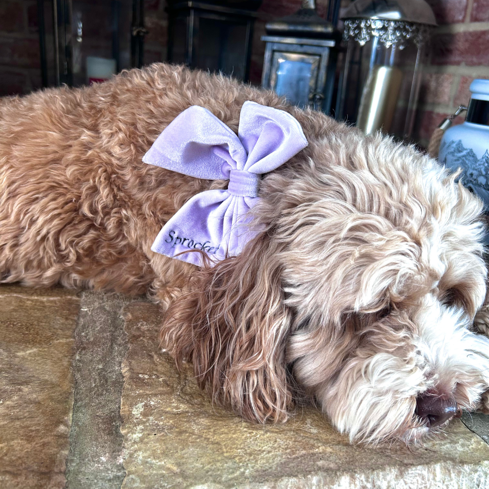 PERSONALISED Velvet Sailor Bow Tie - Lilac