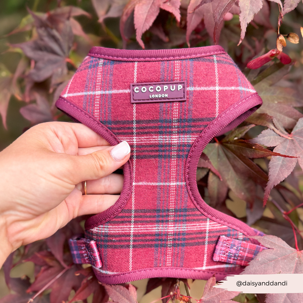 Mulberry Plaid Adjustable Neck HARNESS