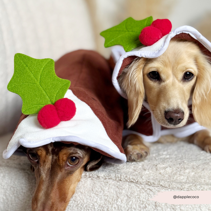PERSONALISED Christmas Pudding Drying Robe