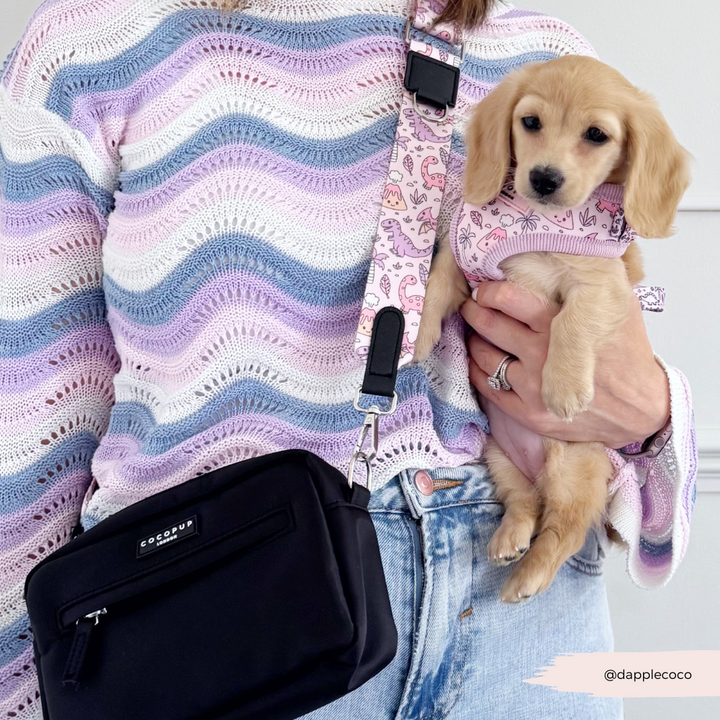 Dog Walking Bag Bundle - Princess Dino