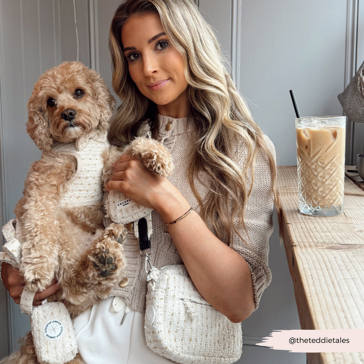 Vanilla Textured Tweed Adjustable Neck Harness, Lead & Collar Bundle