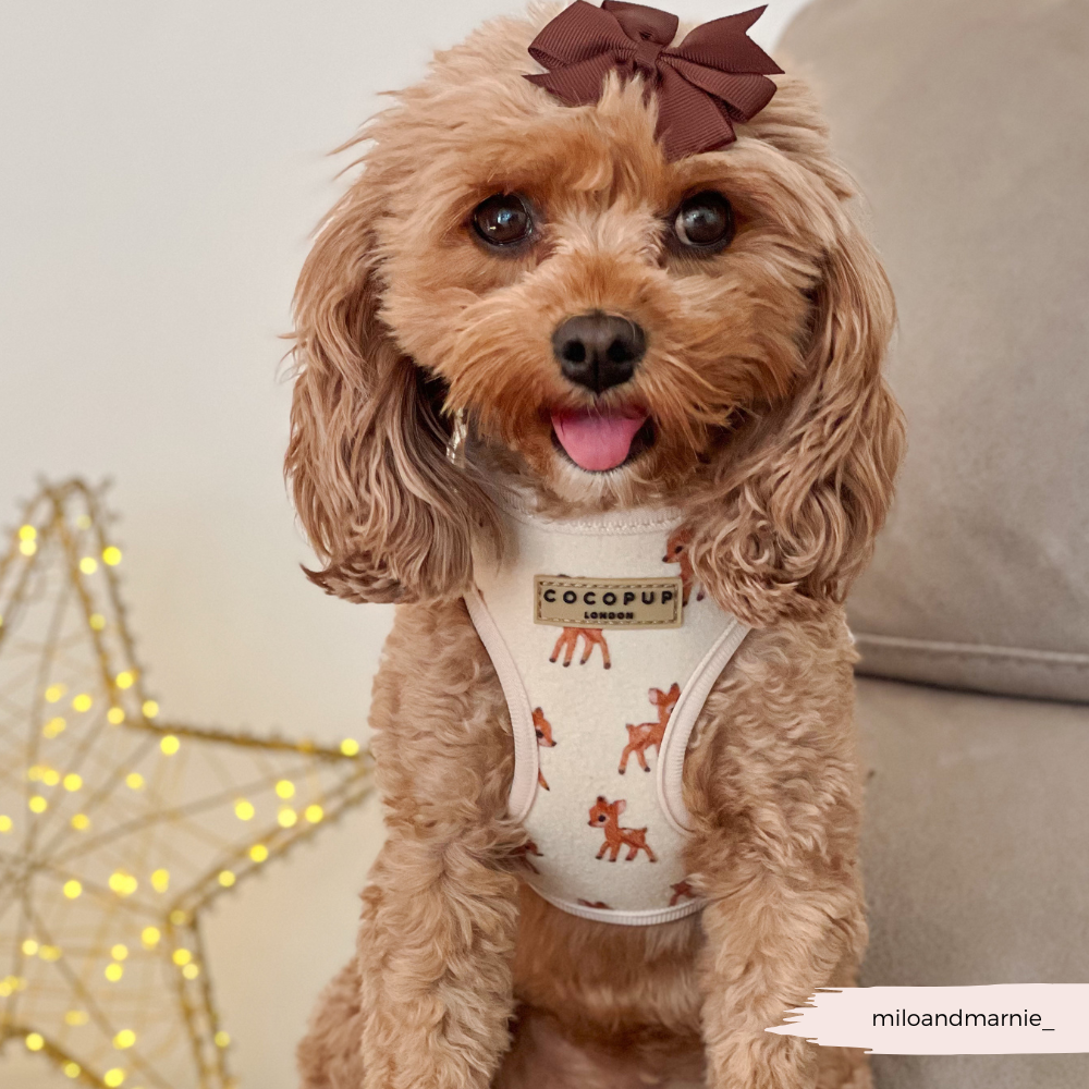 Fleecy Fawn Adjustable Neck Harness, Lead & Collar Bundle