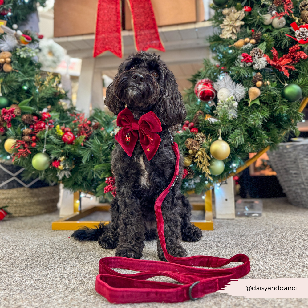 The Muttcracker Sailor Bow Tie